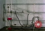 Standbild biochemische Forschung Labor United States USA, 1965, aus Sekunde 33 historischem Filmmaterial Videoclip 65675068432