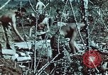 Standbild verwundete Soldaten Pacific Theater, 1945, aus Sekunde 18 historischem Filmmaterial Videoclip 65675068434