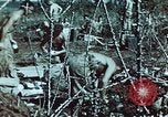 Standbild verwundete Soldaten Pacific Theater, 1945, aus Sekunde 19 historischem Filmmaterial Videoclip 65675068434