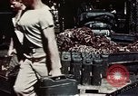 Standbild verwundete Soldaten Pacific Theater, 1945, aus Sekunde 24 historischem Filmmaterial Videoclip 65675068435
