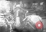 Image of Visitors at Edison Institute, Ford Museum, and Greenfield Village Dearborn Michigan USA, 1948, second 23 stock footage video 65675068468