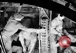 Immagine di Impianto di alimentazione del tunnel di acqua United States USA, 1930, secondo 35 filmato di repertorio 65675068471