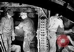 Immagine di Impianto di alimentazione del tunnel di acqua United States USA, 1930, secondo 46 filmato di repertorio 65675068471