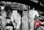 Immagine di Impianto di alimentazione del tunnel di acqua United States USA, 1930, secondo 50 filmato di repertorio 65675068471