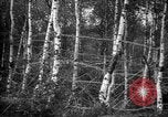 Standbild Firma E USA 167 Infanterie Regiment zeigt Bereitschaft Neuviller-La-roche Frankreich, 1918, aus Sekunde 8 historischem Filmmaterial Videoclip 65675068474