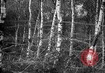 Standbild Firma E USA 167 Infanterie Regiment zeigt Bereitschaft Neuviller-La-roche Frankreich, 1918, aus Sekunde 11 historischem Filmmaterial Videoclip 65675068474
