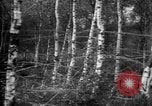 Standbild Firma E USA 167 Infanterie Regiment zeigt Bereitschaft Neuviller-La-roche Frankreich, 1918, aus Sekunde 12 historischem Filmmaterial Videoclip 65675068474