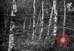 Standbild Firma E USA 167 Infanterie Regiment zeigt Bereitschaft Neuviller-La-roche Frankreich, 1918, aus Sekunde 13 historischem Filmmaterial Videoclip 65675068474