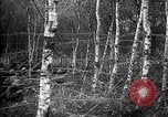 Standbild Firma E USA 167 Infanterie Regiment zeigt Bereitschaft Neuviller-La-roche Frankreich, 1918, aus Sekunde 14 historischem Filmmaterial Videoclip 65675068474