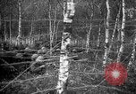 Standbild Firma E USA 167 Infanterie Regiment zeigt Bereitschaft Neuviller-La-roche Frankreich, 1918, aus Sekunde 25 historischem Filmmaterial Videoclip 65675068474