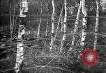 Standbild Firma E USA 167 Infanterie Regiment zeigt Bereitschaft Neuviller-La-roche Frankreich, 1918, aus Sekunde 29 historischem Filmmaterial Videoclip 65675068474