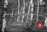Standbild Firma E USA 167 Infanterie Regiment zeigt Bereitschaft Neuviller-La-roche Frankreich, 1918, aus Sekunde 30 historischem Filmmaterial Videoclip 65675068474