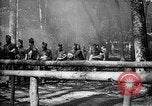 Image AEF La 42e Division d'infanterie (Rainbow Division) en France France, 1918, de la seconde 30 séquences d'archives historiques vidéo 65675068475