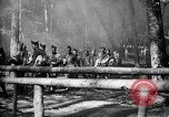 Image AEF La 42e Division d'infanterie (Rainbow Division) en France France, 1918, de la seconde 31 séquences d'archives historiques vidéo 65675068475