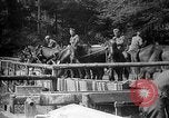 Image AEF La 42e Division d'infanterie (Rainbow Division) en France France, 1918, de la seconde 50 séquences d'archives historiques vidéo 65675068475