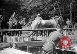 Image AEF La 42e Division d'infanterie (Rainbow Division) en France France, 1918, de la seconde 56 séquences d'archives historiques vidéo 65675068475