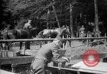 Image AEF La 42e Division d'infanterie (Rainbow Division) en France France, 1918, de la seconde 62 séquences d'archives historiques vidéo 65675068475