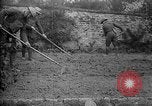 Standbild Truppen von 168 Infanterie Regiment (AEF) Pflanze Gemüse Badonviller Frankreich, 1918, aus Sekunde 15 historischem Filmmaterial Videoclip 65675068476