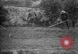 Standbild Truppen von 168 Infanterie Regiment (AEF) Pflanze Gemüse Badonviller Frankreich, 1918, aus Sekunde 20 historischem Filmmaterial Videoclip 65675068476