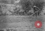 Standbild Truppen von 168 Infanterie Regiment (AEF) Pflanze Gemüse Badonviller Frankreich, 1918, aus Sekunde 21 historischem Filmmaterial Videoclip 65675068476