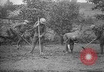 Standbild Truppen von 168 Infanterie Regiment (AEF) Pflanze Gemüse Badonviller Frankreich, 1918, aus Sekunde 22 historischem Filmmaterial Videoclip 65675068476