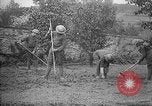 Standbild Truppen von 168 Infanterie Regiment (AEF) Pflanze Gemüse Badonviller Frankreich, 1918, aus Sekunde 23 historischem Filmmaterial Videoclip 65675068476