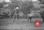 Standbild Truppen von 168 Infanterie Regiment (AEF) Pflanze Gemüse Badonviller Frankreich, 1918, aus Sekunde 24 historischem Filmmaterial Videoclip 65675068476