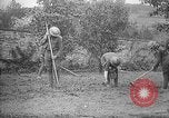 Standbild Truppen von 168 Infanterie Regiment (AEF) Pflanze Gemüse Badonviller Frankreich, 1918, aus Sekunde 25 historischem Filmmaterial Videoclip 65675068476