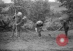 Standbild Truppen von 168 Infanterie Regiment (AEF) Pflanze Gemüse Badonviller Frankreich, 1918, aus Sekunde 27 historischem Filmmaterial Videoclip 65675068476