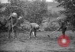 Standbild Truppen von 168 Infanterie Regiment (AEF) Pflanze Gemüse Badonviller Frankreich, 1918, aus Sekunde 28 historischem Filmmaterial Videoclip 65675068476