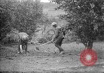 Standbild Truppen von 168 Infanterie Regiment (AEF) Pflanze Gemüse Badonviller Frankreich, 1918, aus Sekunde 31 historischem Filmmaterial Videoclip 65675068476