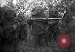Standbild 168 Infanterie Regiment American Expeditionary Forces Frankreich, 1918, aus Sekunde 20 historischem Filmmaterial Videoclip 65675068477