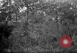 Standbild 168 Infanterie Regiment American Expeditionary Forces Frankreich, 1918, aus Sekunde 22 historischem Filmmaterial Videoclip 65675068477