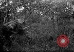 Standbild 168 Infanterie Regiment American Expeditionary Forces Frankreich, 1918, aus Sekunde 23 historischem Filmmaterial Videoclip 65675068477
