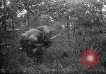 Standbild 168 Infanterie Regiment American Expeditionary Forces Frankreich, 1918, aus Sekunde 24 historischem Filmmaterial Videoclip 65675068477