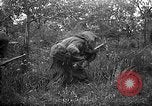Standbild 168 Infanterie Regiment American Expeditionary Forces Frankreich, 1918, aus Sekunde 25 historischem Filmmaterial Videoclip 65675068477