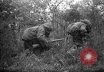 Standbild 168 Infanterie Regiment American Expeditionary Forces Frankreich, 1918, aus Sekunde 29 historischem Filmmaterial Videoclip 65675068477