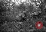 Standbild 168 Infanterie Regiment American Expeditionary Forces Frankreich, 1918, aus Sekunde 31 historischem Filmmaterial Videoclip 65675068477