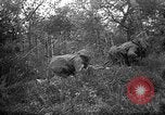 Standbild 168 Infanterie Regiment American Expeditionary Forces Frankreich, 1918, aus Sekunde 32 historischem Filmmaterial Videoclip 65675068477