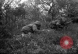 Standbild 168 Infanterie Regiment American Expeditionary Forces Frankreich, 1918, aus Sekunde 33 historischem Filmmaterial Videoclip 65675068477