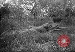 Standbild 168 Infanterie Regiment American Expeditionary Forces Frankreich, 1918, aus Sekunde 35 historischem Filmmaterial Videoclip 65675068477