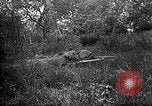 Standbild 168 Infanterie Regiment American Expeditionary Forces Frankreich, 1918, aus Sekunde 37 historischem Filmmaterial Videoclip 65675068477