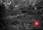Standbild 168 Infanterie Regiment American Expeditionary Forces Frankreich, 1918, aus Sekunde 38 historischem Filmmaterial Videoclip 65675068477