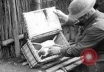 Standbild 167 Infanterie Regiment Saint Polo Frankreich, 1918, aus Sekunde 13 historischem Filmmaterial Videoclip 65675068482