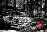 Image of Administrative activities of 165th Infantry Regiment  France, 1918, second 39 stock footage video 65675068483