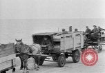 Standbild deutsche Soldaten Holland Niederlande, 1945, aus Sekunde 42 historischem Filmmaterial Videoclip 65675068486