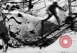 Image menace de la peste Allemagne, 1945, de la seconde 22 séquences d'archives historiques vidéo 65675068489