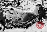 Image menace de la peste Allemagne, 1945, de la seconde 24 séquences d'archives historiques vidéo 65675068489