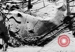 Image menace de la peste Allemagne, 1945, de la seconde 27 séquences d'archives historiques vidéo 65675068489