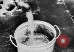 Image menace de la peste Allemagne, 1945, de la seconde 32 séquences d'archives historiques vidéo 65675068489
